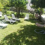 Sofia פרגליה