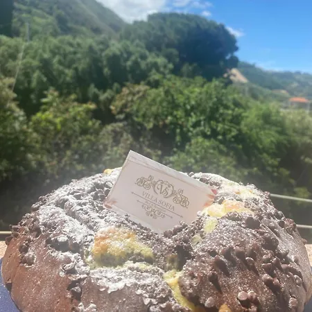 Sofia Bed & Breakfast Parghelia