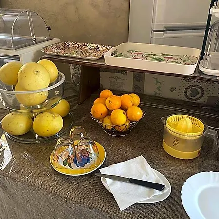 Sofia بارغيليا