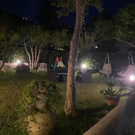 B&B Sofia 4*
