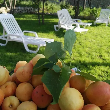 Sofia 4* Parghelia